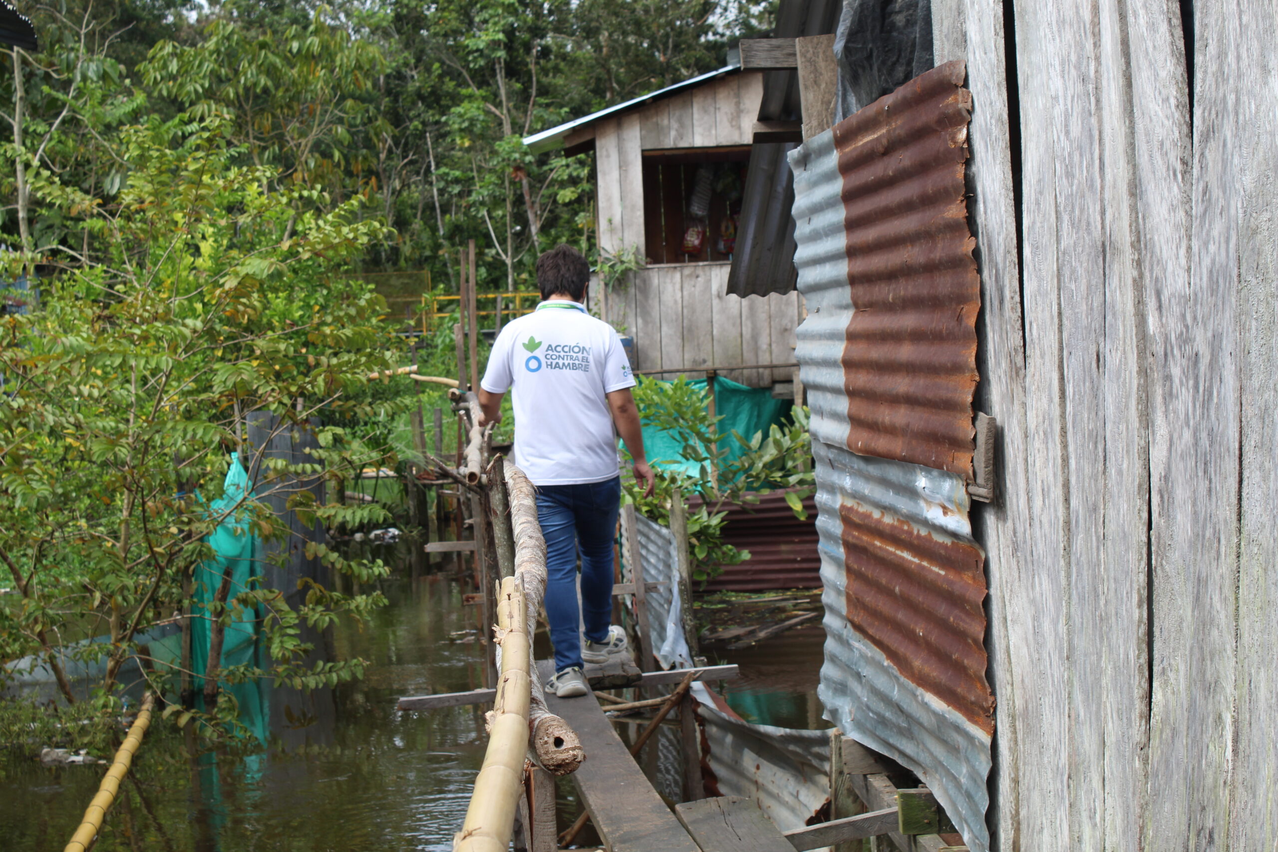 IMG 3666 scaled - Amazonía: naturaleza en riesgo y desafíos humanitarios