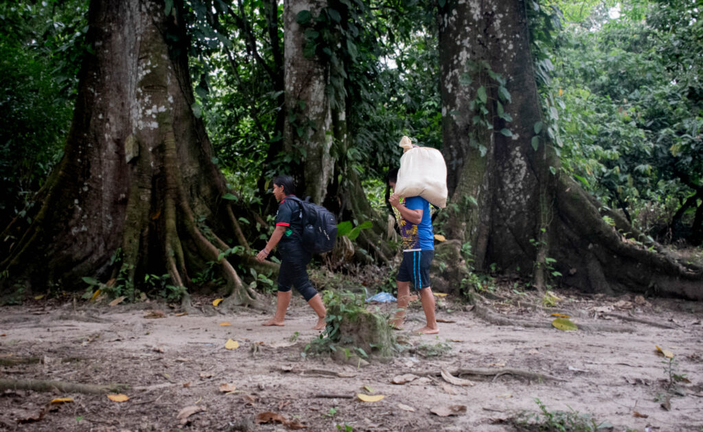 NS INGRID DESPLAZAMIENTO 1024x629 - Catatumbo: una crisis prolongada. Informe de Acción contra el Hambre desde la operación en terreno
