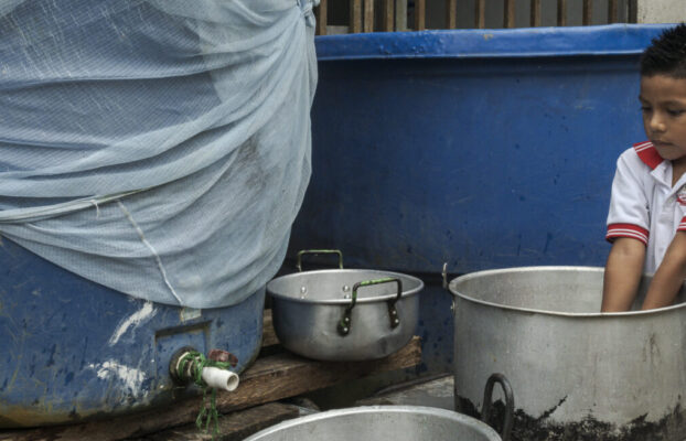 Alianza Amazonia Putumayo IFuguemann 2 1 scaled e1766181119887 622x400 - Home