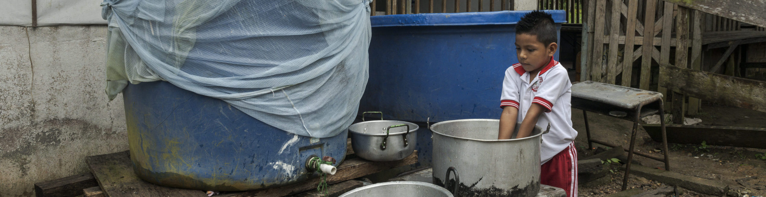 Una alianza por la vida, el territorio y la Amazonía