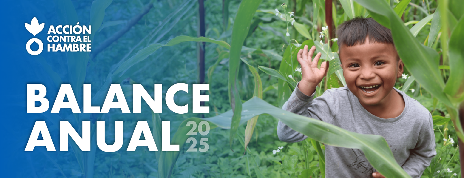 banner web nino e1772844872984 - Home