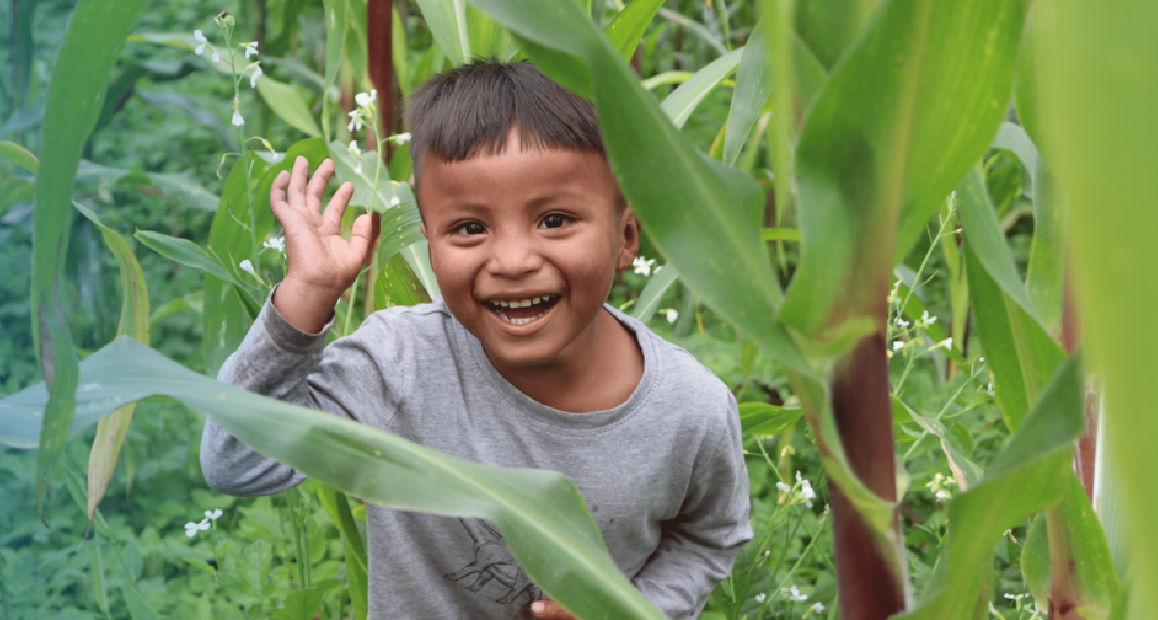 banner web nino e1772845027690 - Home