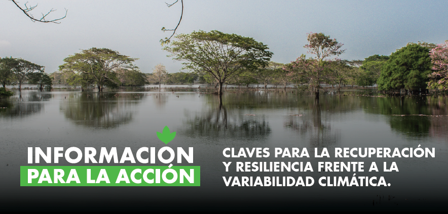 Captura de pantalla 2026 05 21 160836 e1779397787485 - Publicaciones